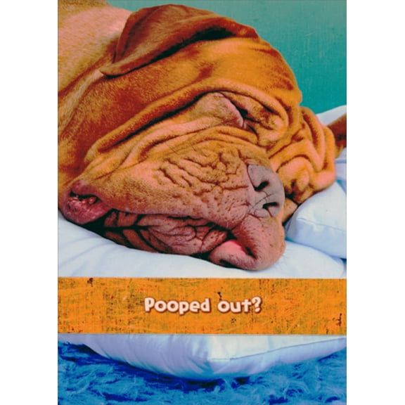 Designer Greetings Wrinkly Dog Pooped Out Funny / Humorous Get Well Card