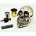 Designer Solid Brass Skull Head Handle for Walking Stick Canes Shaft