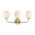thumbnail image 1 of Designers Fountain Dita 23 inch 3-Light Brushed Gold Bathroom Vanity Light Fixture with Etched Opal Glass Shades, D289M-3B-BG, 1 of 7