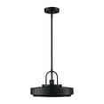 thumbnail image 1 of Designers Fountain Odea 14 inch 1-Light Matte Black Transitional Pendant Light, D295M-14P-MB, 1 of 9