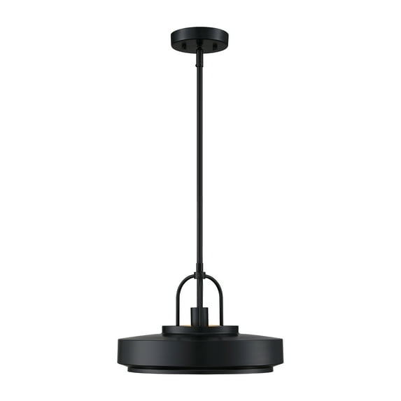 Designers Fountain Odea 14 inch 1-Light Matte Black Transitional Pendant Light, D295M-14P-MB