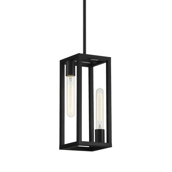 Designers Fountain Urban Oasis 2 Light Matte Black Pendant, D224M-6P-MB