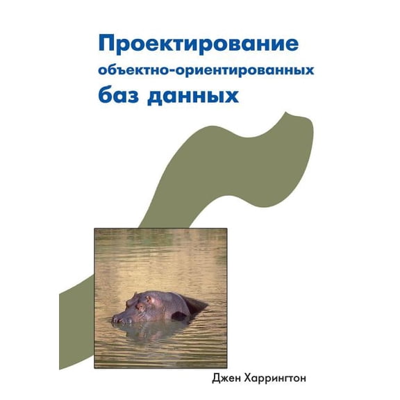 Designing an object-oriented database (Paperback)