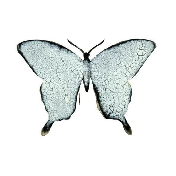 Designocracy Butterfly Wooden Magnet
