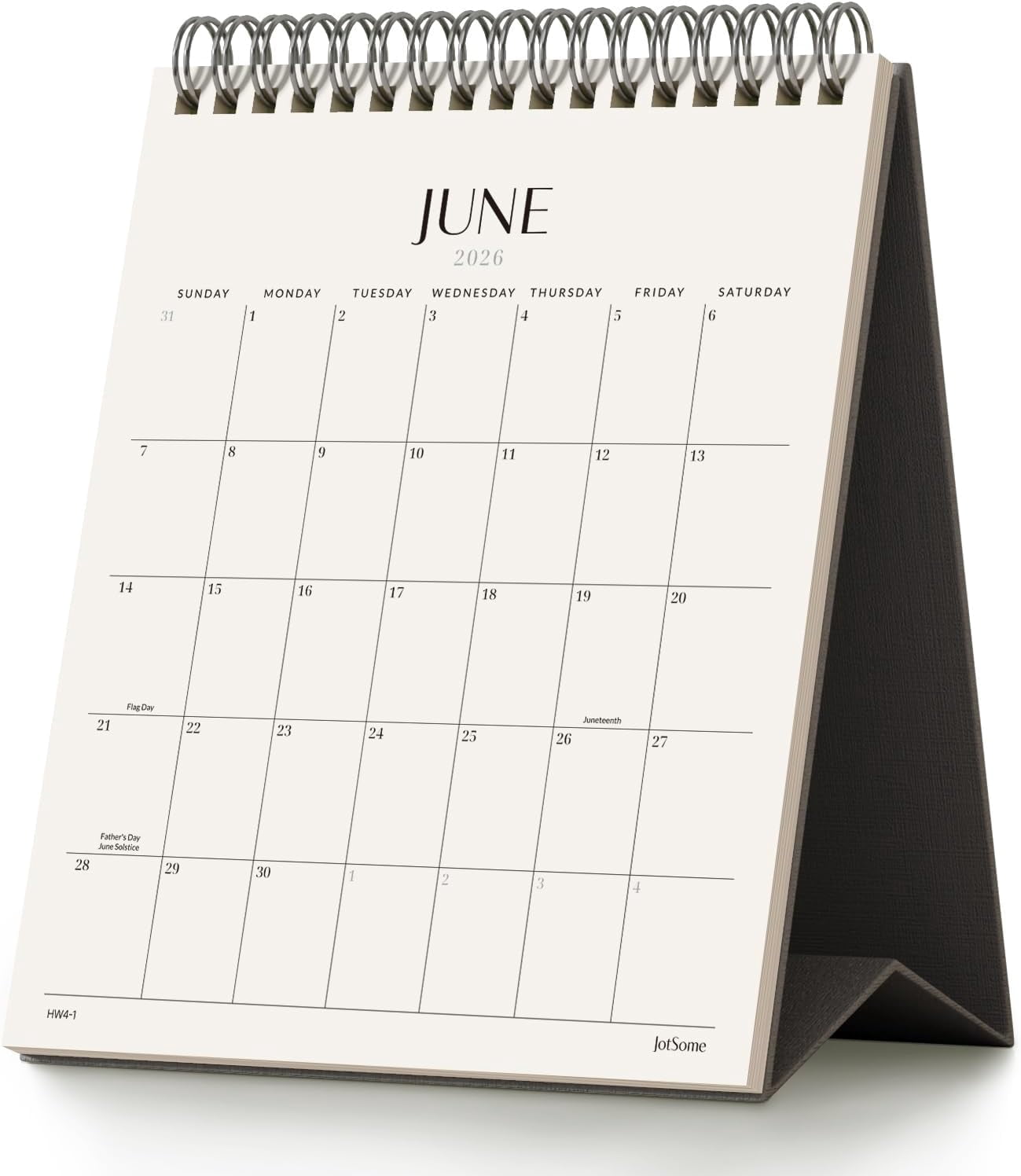 Desk Calendar 2026-2027, Small Standing Flip Desktop From Now to June 2027 for Home and Office, Easy Organizing (Black, Small)