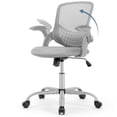 thumbnail image 1 of Desk Chair, Ergonomic Home Office Chair with Flip-Up Armrests, Rolling Chair with Lumbar Support, Executive Height Adjustable Swivel Task Chair, Grey, 1 of 8