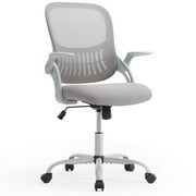 Desk Chair, Ergonomic Home Office Chair with Flip-Up Armrests, Rolling Chair with Lumbar Support, Executive Height Adjustable Swivel Task Chair, Grey