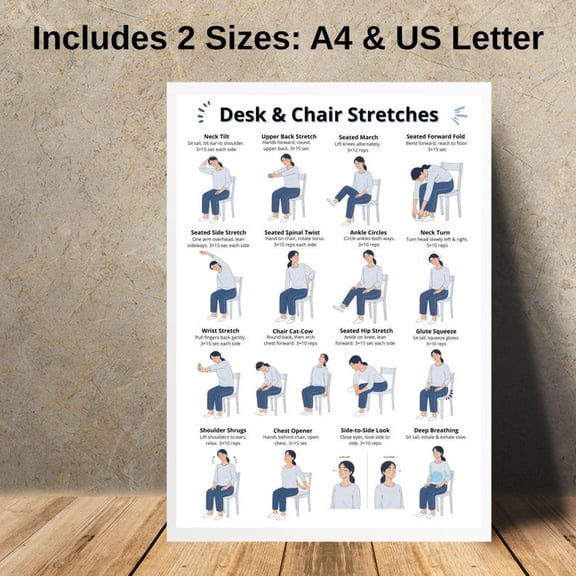 Desk & Chair Stretches Poster | Seated Stretching Exercises Chart | Beginner Office and Home Posture Workout Printable, Unframed Paper Poster 8x10in