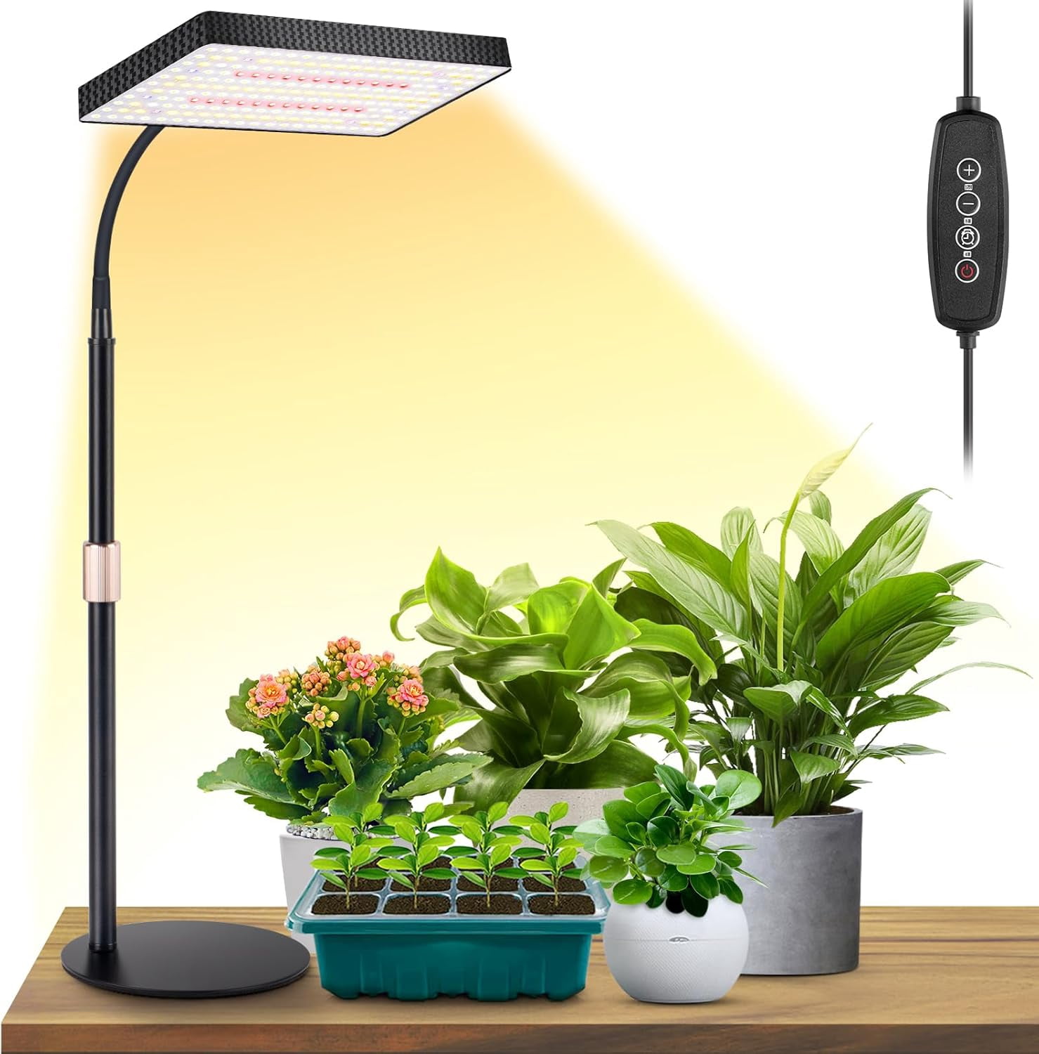 Desk Grow Light, Full Spectrum Plant Light for Indoor Plants, Grow ...