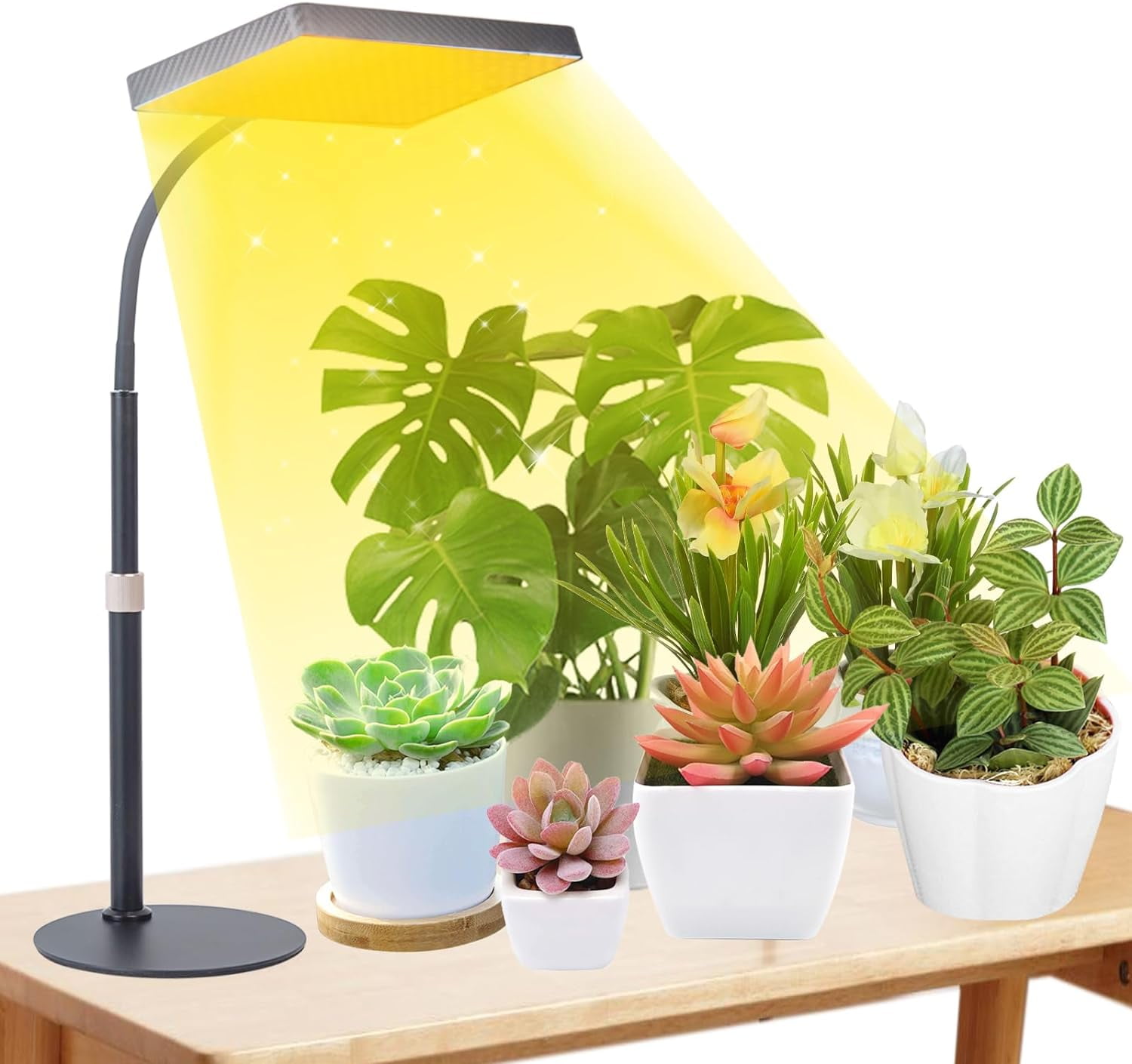 Desk Grow Lights for Indoor Plants, Table Top Grow Light UVIR Full Spectrum, 2000 Lumen LED