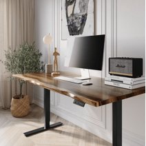 Desk - Standing Desk, Walnut Desk, Exotic Hardwood, Sit-Stand-Up Desk