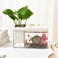thumbnail image 1 of Desktop Aquarium with Pen Holder, Small Fish Tank for Office Desk, Mini Ecosystem Terrarium Habitat for Home or Workplace, 1 Count, 1 of 1