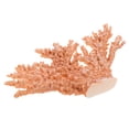 thumbnail image 1 of OUNONA Desktop Coral Decoration Decorative Coral Sculpture Home Accent Figurine Set, 1 of 6