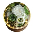 thumbnail image 1 of Desktop Dress Up, Ongmies Preserved Real Flowers for Her Women Wife Mom Forever Fresh Roses in Glass Dome with Led Lights for Home Decor for Valentines Mothers Day Christmas Wedding, Green, 1 of 9