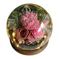 thumbnail image 1 of Desktop Dress Up, Ongmies Preserved Real Flowers for Her Women Wife Mom Forever Fresh Roses in Glass Dome with Led Lights for Home Decor for Valentines Mothers Day Christmas Wedding, Hot Pink, 1 of 9