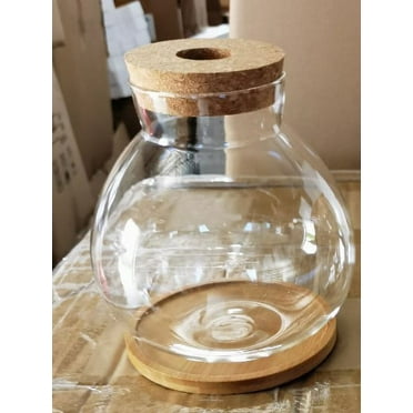 Desktop Fish Bowl Hydroponic Terrarium Glass Small Fish Tank with Bamboo Cushion