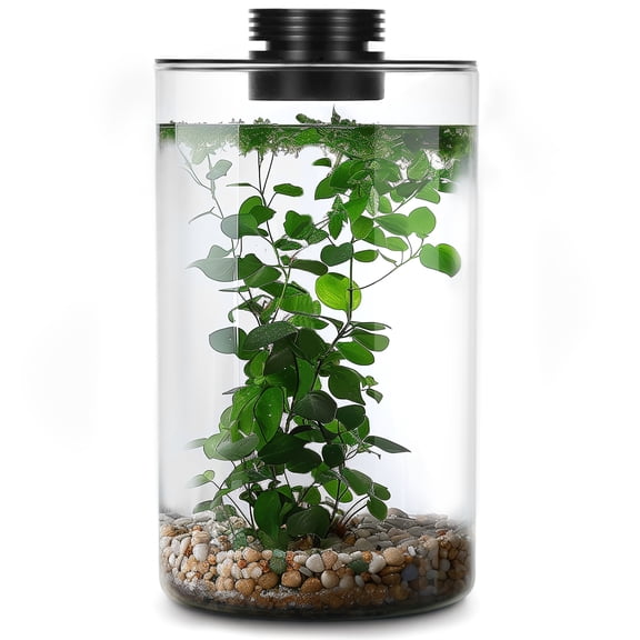 Desktop Glass Plant Terrarium with Grow Light for Succulent Moss, Glass Plant Terrarium Miniature Landscape Fish Tank Indoor Plant Growth Office Home Decoration Plant Lovers Gifts