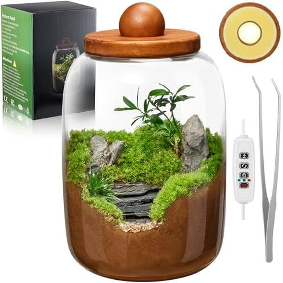 Desktop Glass Terrarium with Time-Controlled Grow Light, H 8.6IN x D 6.3IN Plant Propagation Station and Air Planter for Office and Home$$Garden & Patio