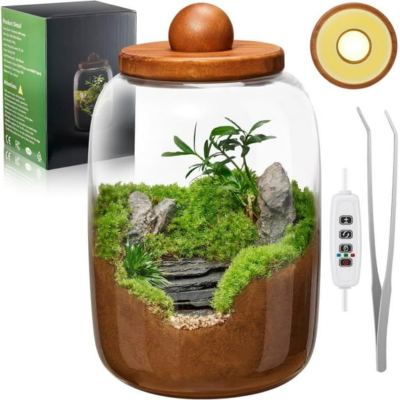 Desktop Glass Terrarium with Time-Controlled Grow Light, H 8.6IN x D 6.3IN Plant Propagation Station and Air Planter for Office and Home