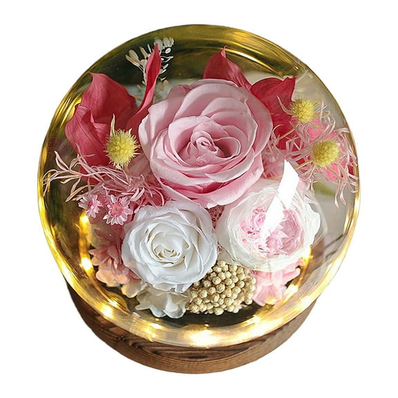 1 Ornament - Preserved Real Flowers for Her Women Wife Mom Forever Fresh Roses in Glass Dome with Led Lights