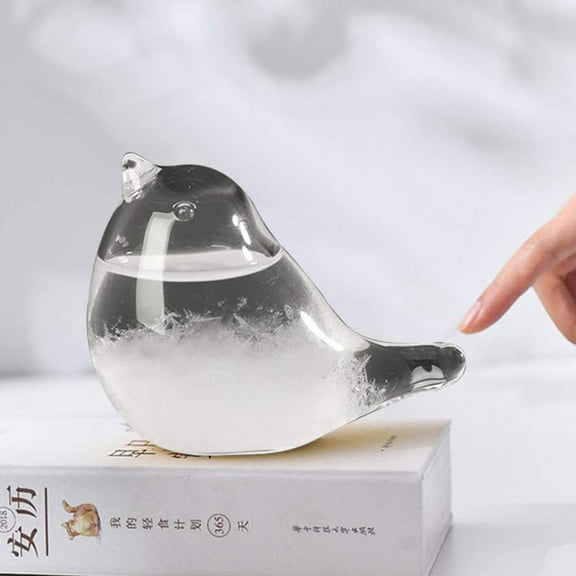 Desktop Ornament Display Glass Forecaster Barometer for Home with Liquid Weather Desk Accessory