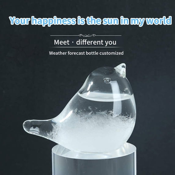Desktop Ornament Glass Forecaster Weather Barometer 30ml for Desktop Home Display Elegant Liquid Weather Desk Décor