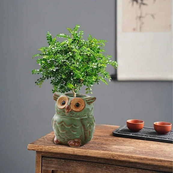 Desktop Ornaments,Owl Animal Planter Pot，Ceramic Owl Pots Cute Animal Plant ， Small Ceramic Glaze Container With Tiny Holder For Plants Flowers