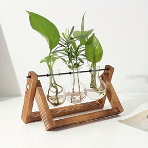 Desktop Plant Propagation Station, 3 Bulb Vase Plant Terrarium with Wooden Stand for Hydroponic Plants Home Office Home Decoration Valentine’s Day,Birthday Gift