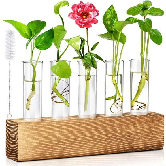 Desktop Plant Propagation Station, Dingrich 5 Glass Test Tube Plant Terrarium with Wooden Stand for Hydroponic Plants Home Office Home Decoration