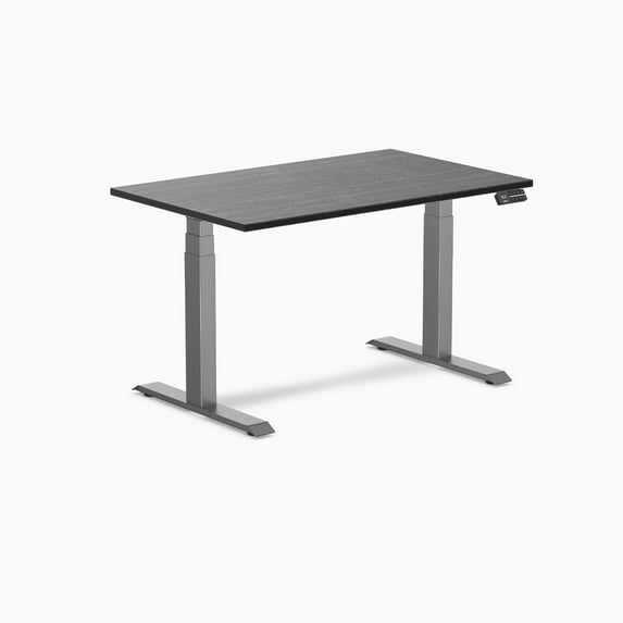 Desky Dual Bamboo Sit Stand Desk - Dark Bamboo / 48 X 30 Inches / Space Gray