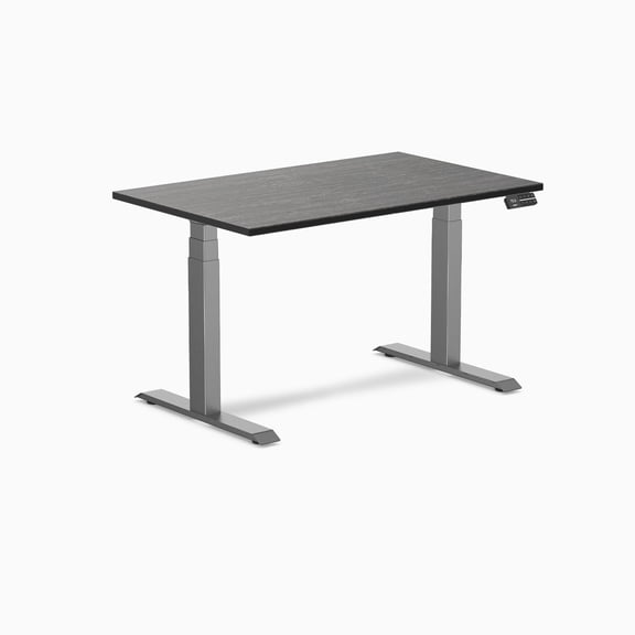 Desky Dual Bamboo Sit Stand Desk - Dark Bamboo / 48 X 30 Inches / Space Gray