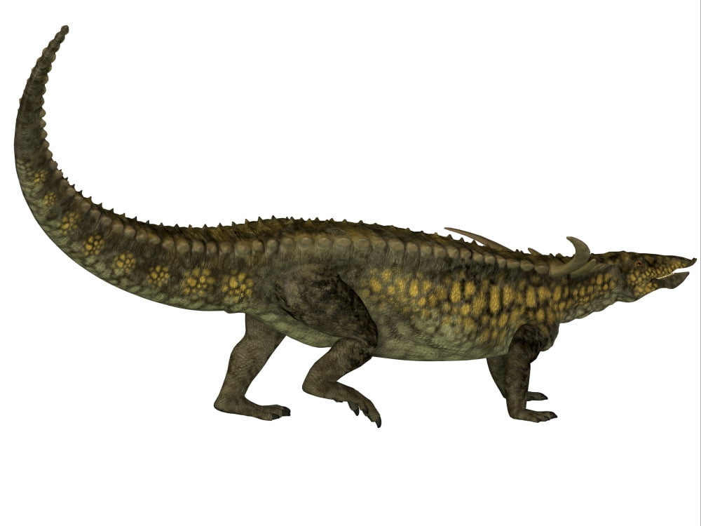 Desmatosuchus armored dinosaur Canvas Art - Corey FordStocktrek Images (17 x 13)