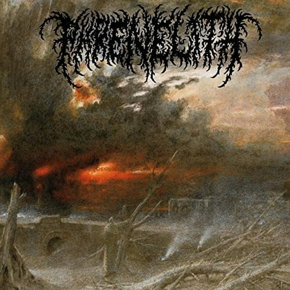 Desolate Endscape (Vinyl)