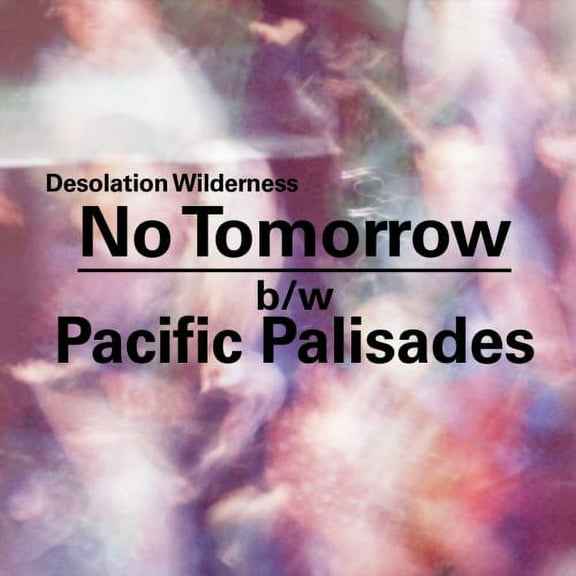 Desolation Wilderness - No Tomorrow/Pacific Palisades - Music & Performance - Vinyl [7-Inch]