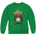 thumbnail image 1 of Despacito Means Slowly Funny Sloth Pun Youth Sweatshirt Green YLG, 1 of 1