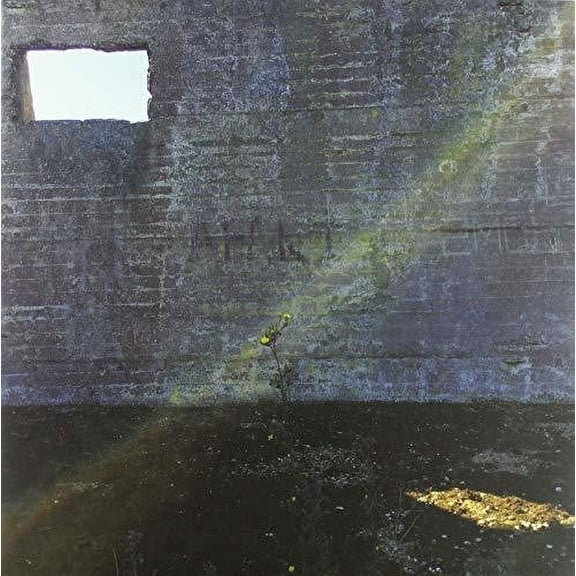Desperate Journalist - In Search Of The Miraculous - Music & Performance - Vinyl