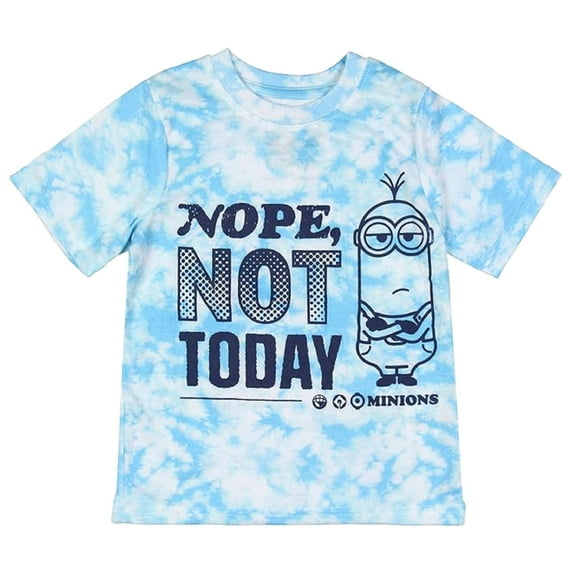 Despicable Me Minions Nope, Not Today Tie-Dye Little Boy's T-Shirt (4)
