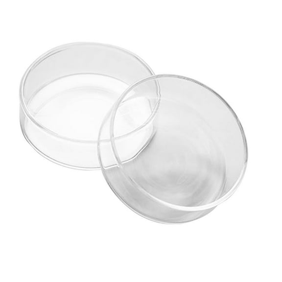 NIAIZEK Transparent Glass Fruit Tray Elegant Dinner Plate for Parties Gatherings and Home Use and Stylish