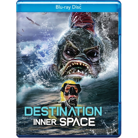 Destination Inner Space
