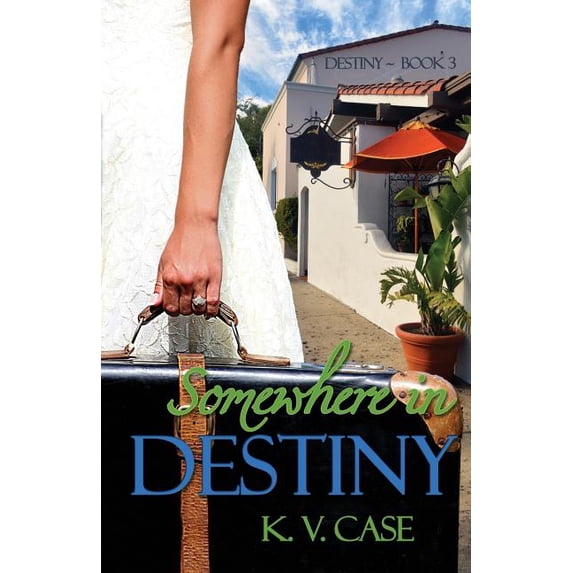 Destiny: Somewhere in Destiny (Paperback)