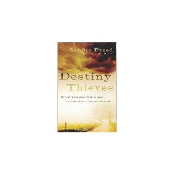 Pre-Owned Destiny Thieves (Defeating Seducing Spirits, Achieve Your Purpose in God) Paperback