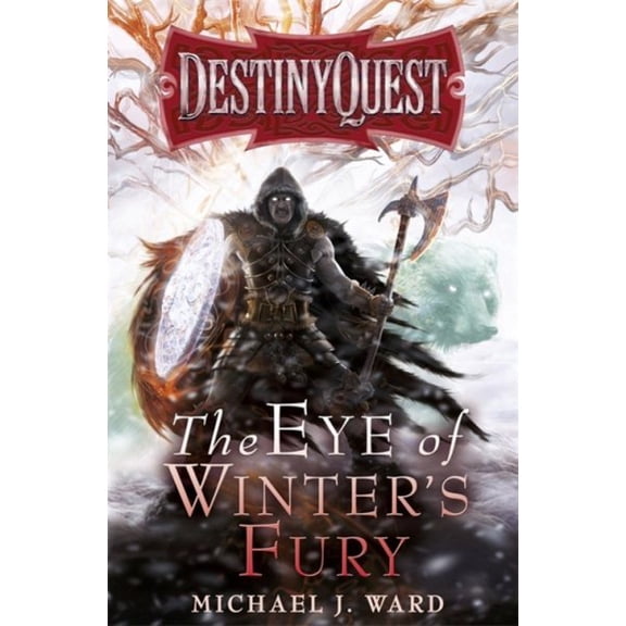 Pre-Owned DestinyQuest The Eye of Winter's Fury, Book 3, (Paperback)