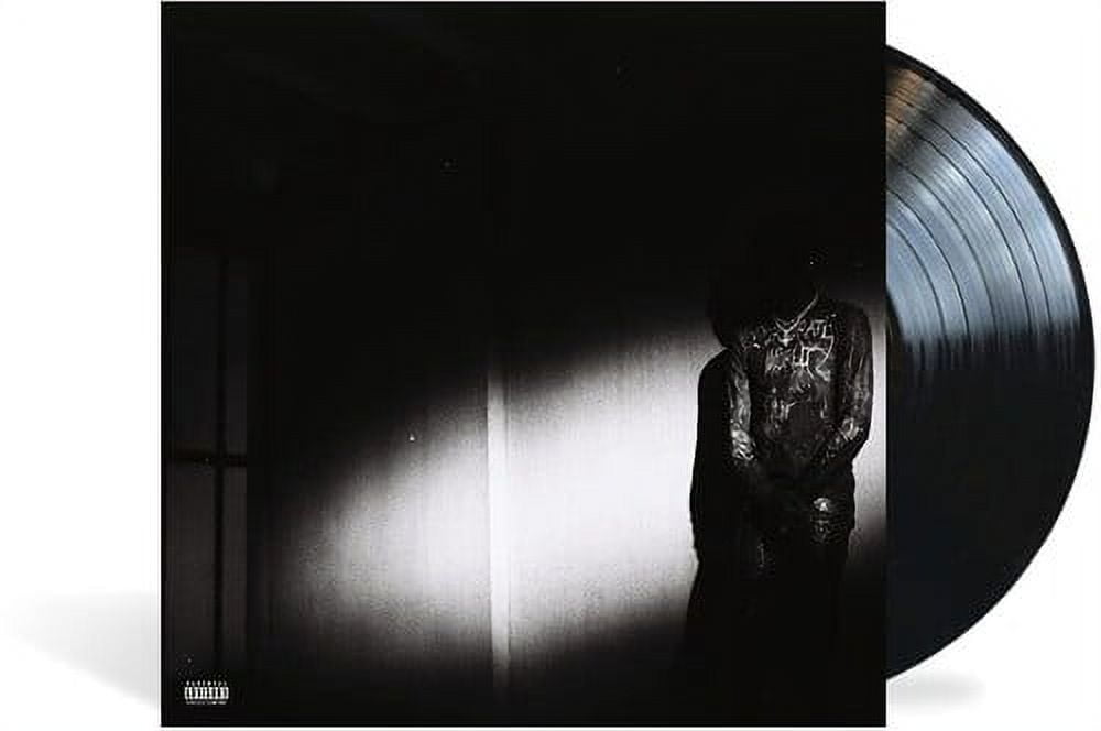 Destroy Lonely - No Stylist Vinyl LP, Debut Mixtape, Music
