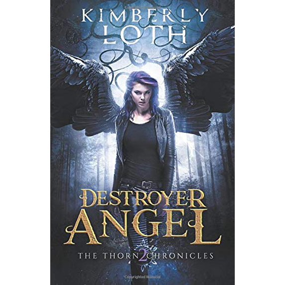Pre-Owned Destroyer Angel (The Thorn Chronicles) Paperback