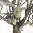 thumbnail image 1 of Destroyer - LABYRINTHITIS - Music & Performance - CD, 1 of 1
