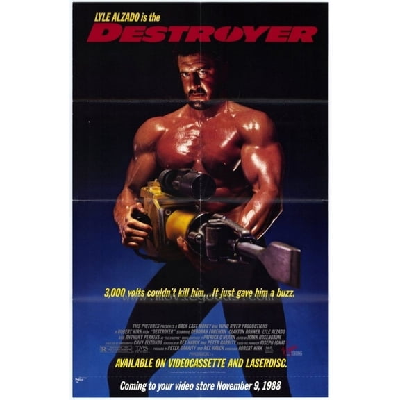 Destroyer Movie Poster (11 x 17)