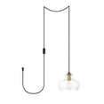 thumbnail image 1 of Destry 1 Light brass plug-in Pendant With Clear Glass, 1 of 6