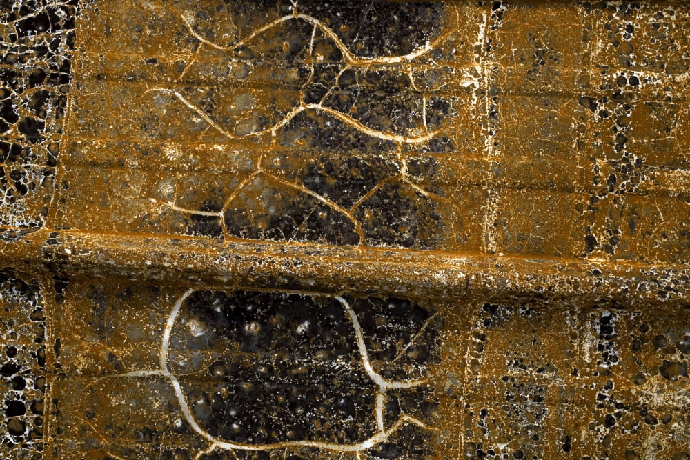 Detail Of Burnt Building Canvas Art - David Chapman Design Pics (36 x 24)