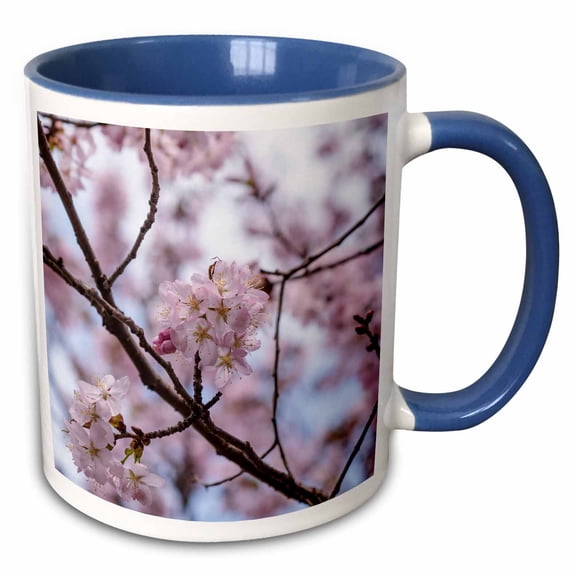 3drose, Detail of Japanese Cherry Blossom Sakura Tree in Full Bloom in Spring, 15oz Two-tone Blue Mug