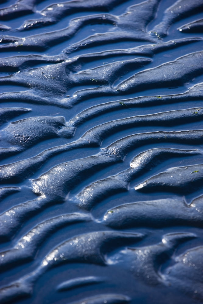 Detail Of Ripples In The Mud At Womens Bay Kodiak Island Southwest Alaska Fall Canvas Art - Kevin Smith Design Pics (24 x 38)